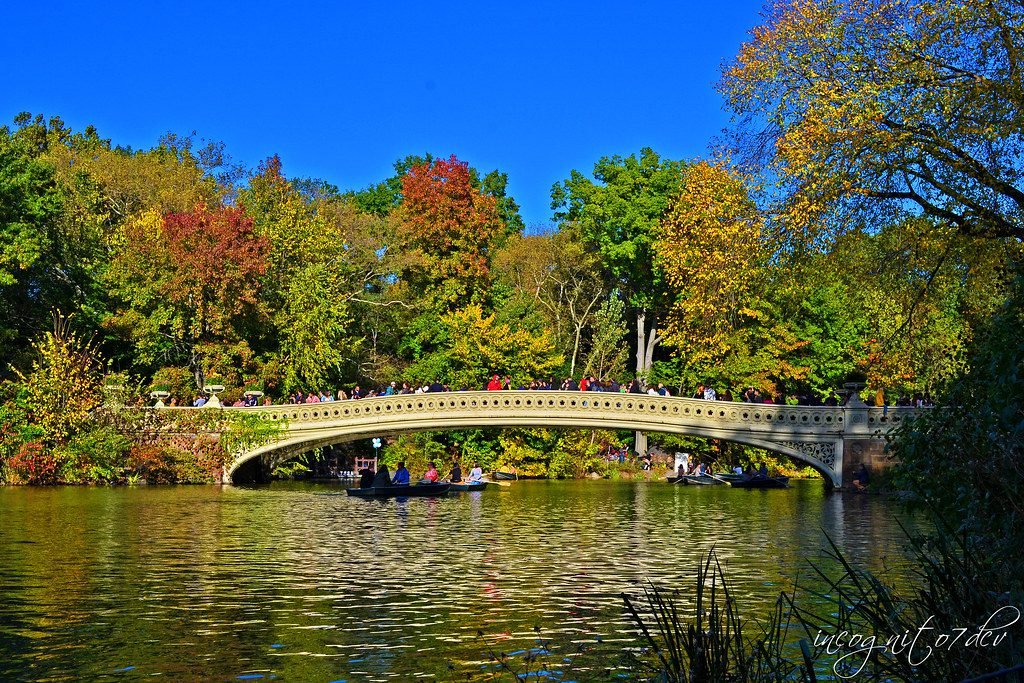 Central Park, New York